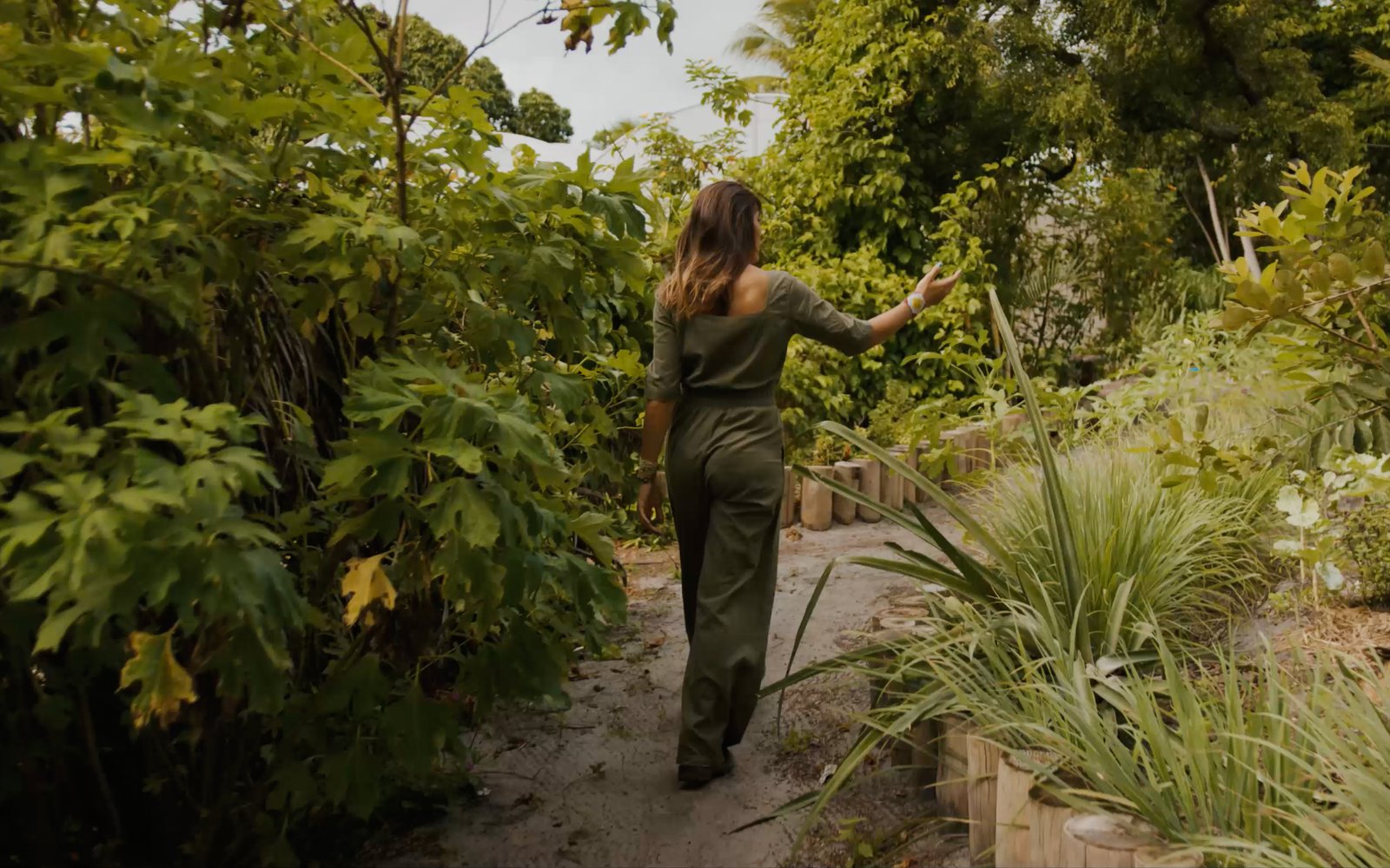 Fazenda Pachamama: cultivo orgânico entre palmeiras